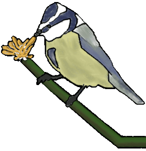 spring-fall's greetings!